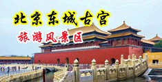 空姐干逼视频免费的大鸡巴中国北京-东城古宫旅游风景区